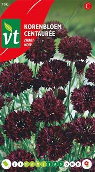 Centauree black ball  (VT)