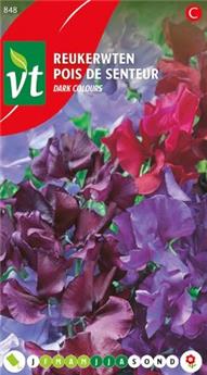 Pois De Senteur Dark Mix (VT)