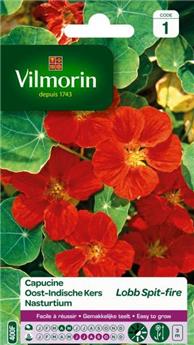 Capucine De Lobb Spit-Fire  (Vilm)