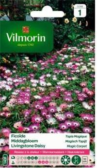Ficoïde Tapis Magique (Vilm)