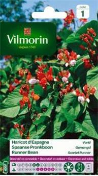Haricot D´Espagne Varié (Vilm)
