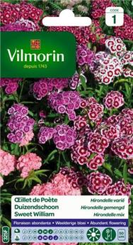 Oeillet De Poête Hirondelle Varié (Vilm)