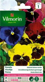 Pensée Geante Suisse Variée  (Vilm)