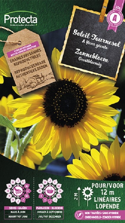 Soleil Géant simple jaune ( Protecta A )
