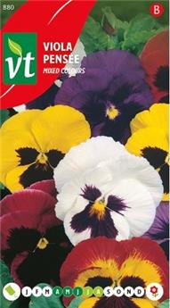 Pensee Variee (VT)
