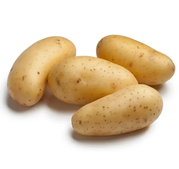 PDT Amandine Princesse 1.5kg Précoce Cal. 25 30 (ARM)