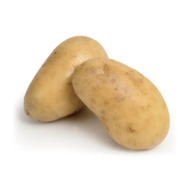 PDT Charlotte 1,5kg  Mi-Précoce Cal 25 35 (ARM)