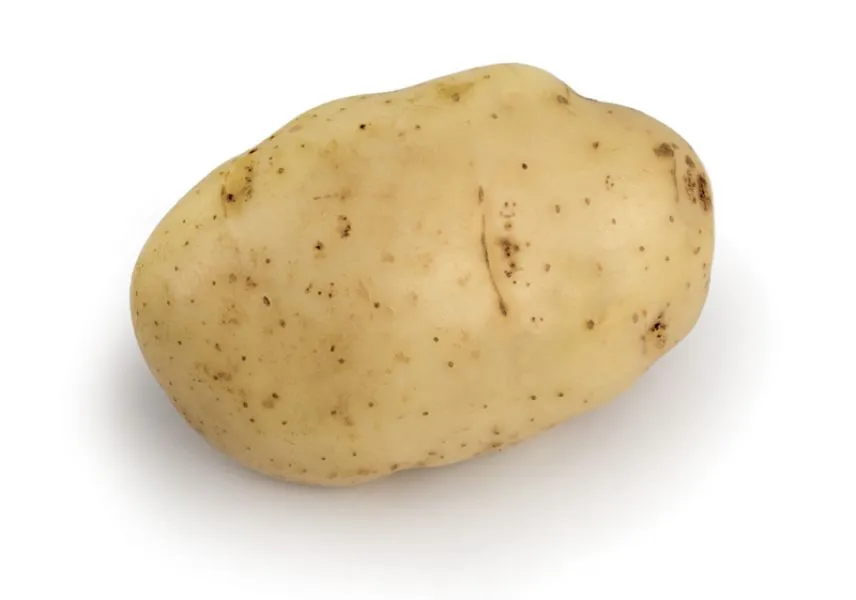 [142388] PDT Bintje 1,5kg MI-Précoce Cal 28 35