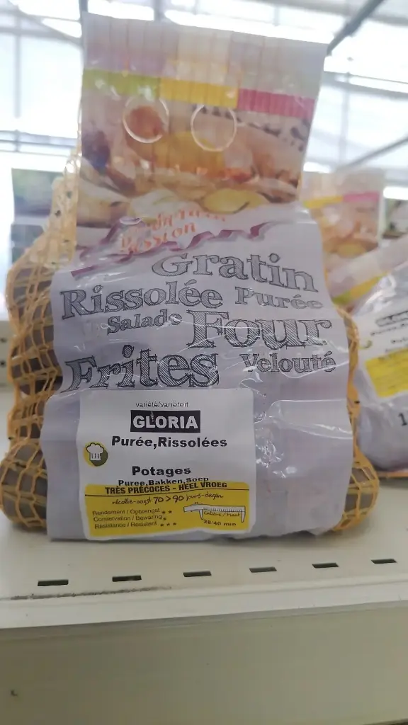 [142371] PDT Gloria 1,5kg Calibre 28 40 mm