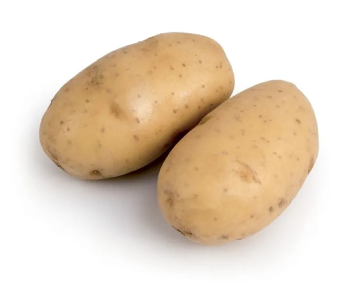 PDT Gourmandine 1.5kg pdt 28 32mm