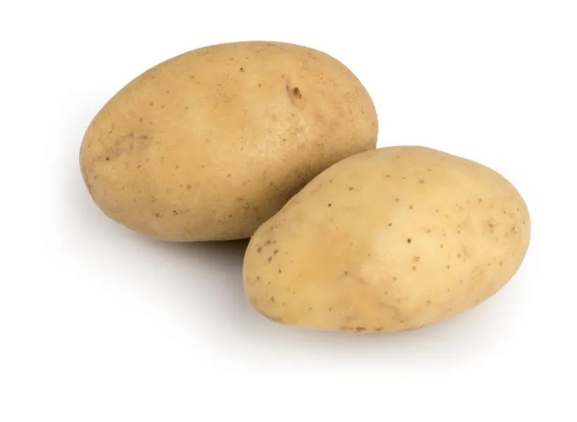 [142382] PDT Annabelle 1.5kg Précoce Cal 28 30