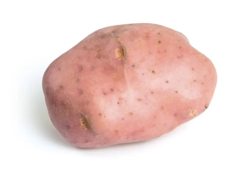 PDT Désirée rouge 1,5kg Mi-Tardive Cal 28 35mm