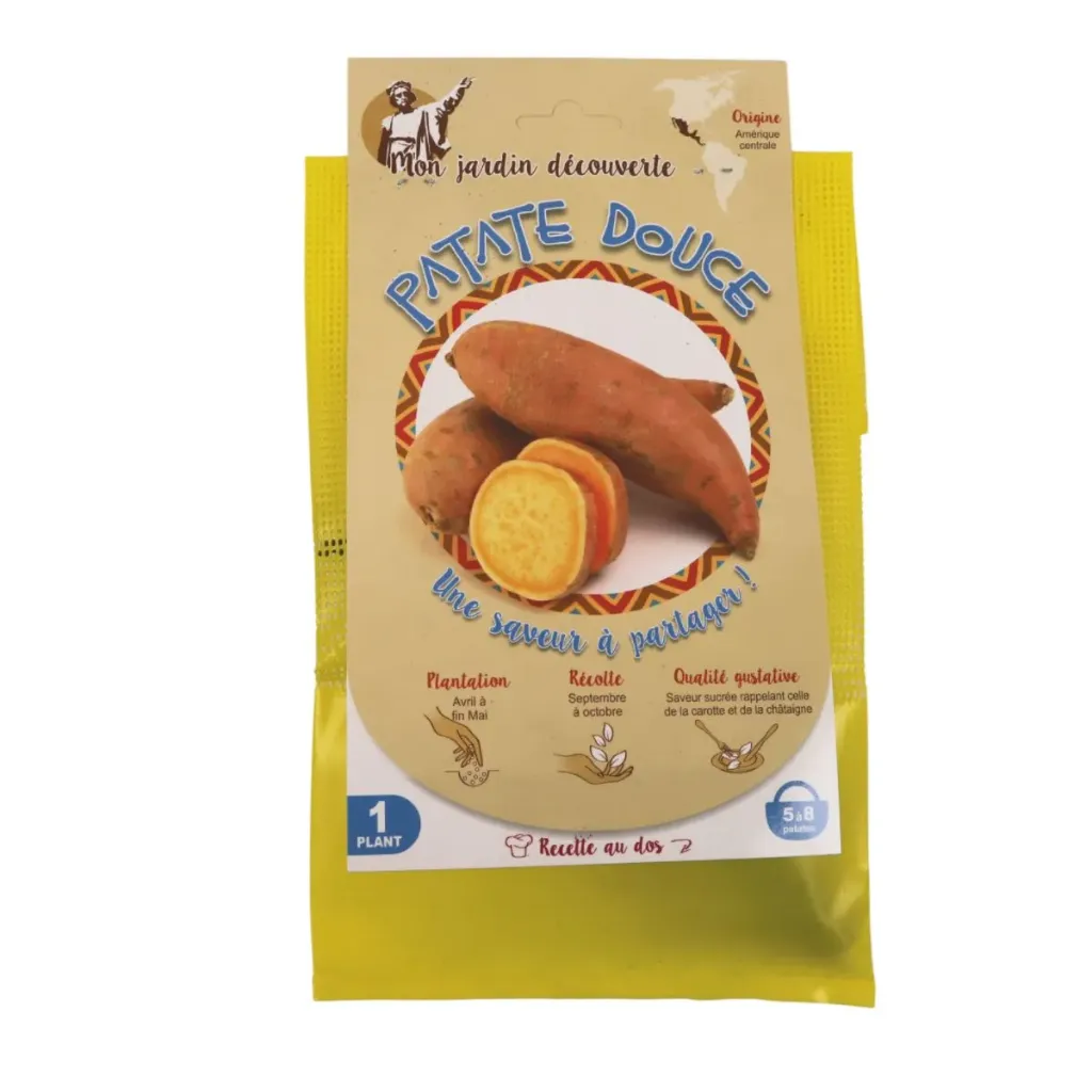 [144188] Patate douce 1 plant