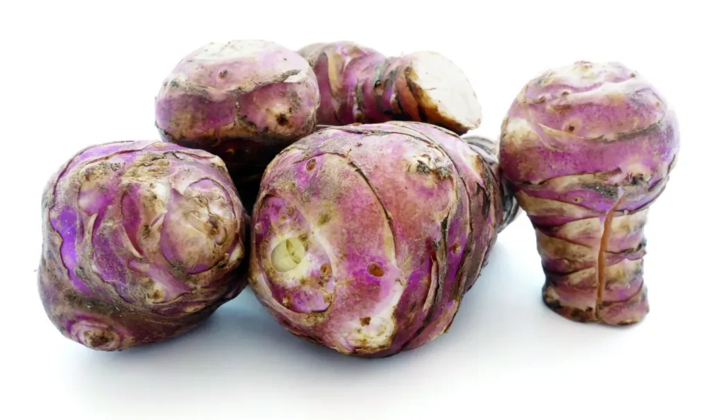 [138908] Topinambour Violet 5 Plants