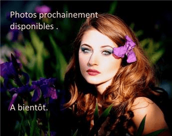 Trefle Violet 10 M² ** Engrais vert **