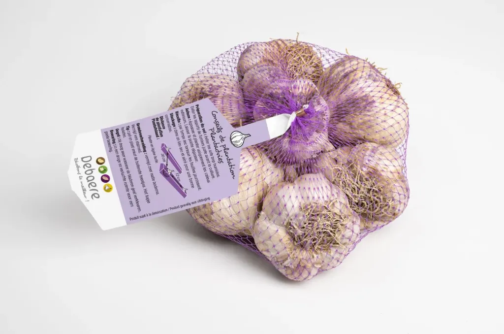 Ail A Planter Rose Gayant 250 G