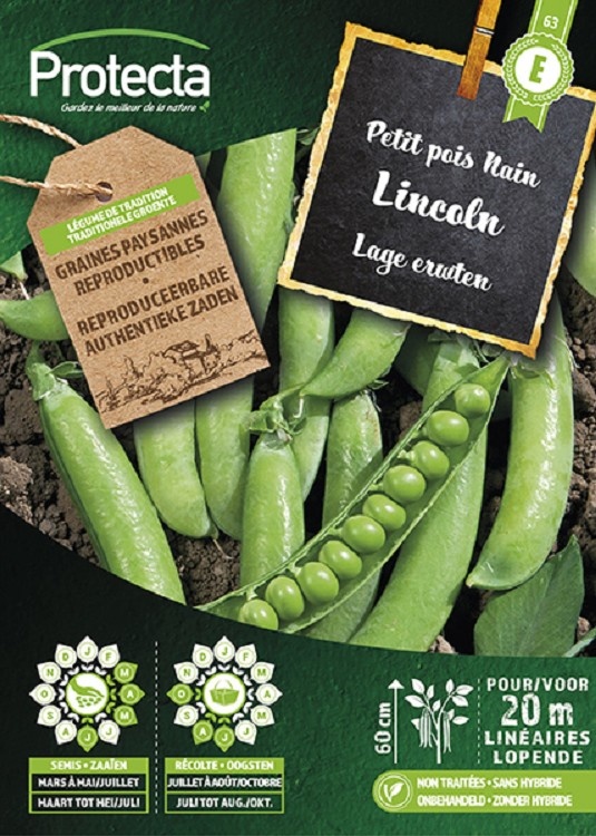 Pois nain à grain ridé LINCOLN (Protecta)