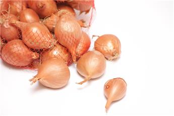 Echalottes Red Sun 250 g. (TP)