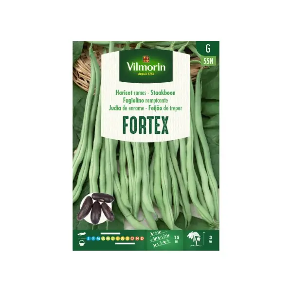 Haricot à Rames Fortex 80 g SG (Vilm)
