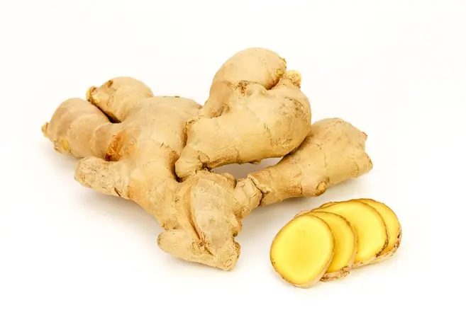 Gingembre officinale 1 plante / sachet