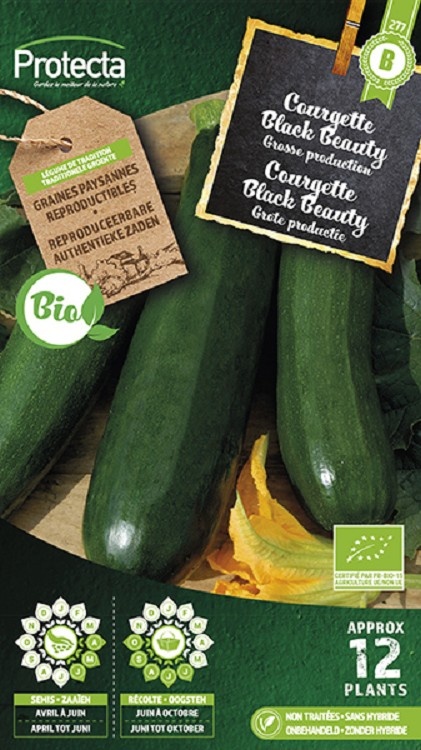 Courgette Verte de Milan FR-BIO-15 ( Protecta B )