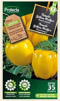 Tomate Yellow Stuffer (Protecta)