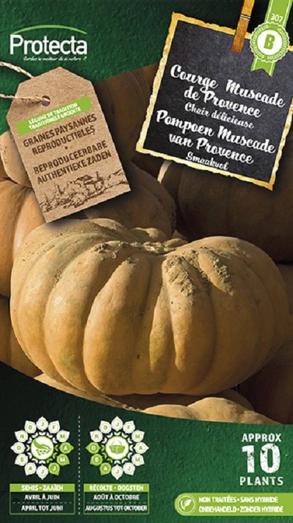 Courge musquée de Provence ( Protecta B )