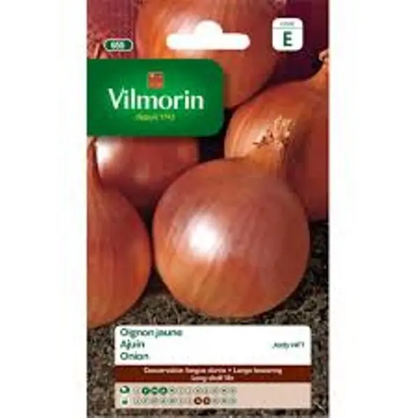 Oignon Jaune Jady F1 (Vilm)