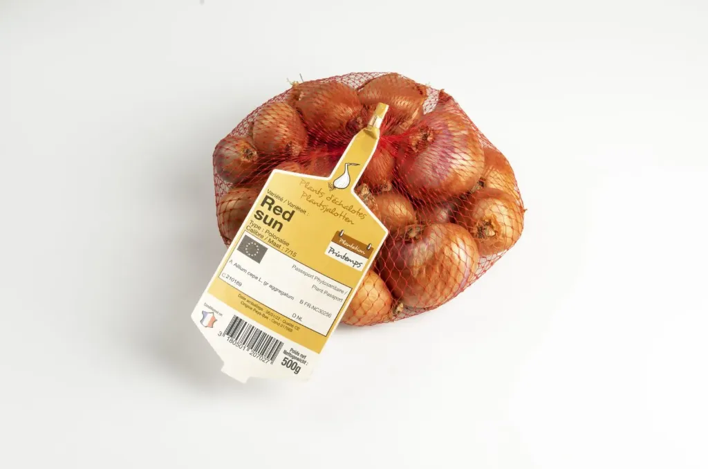 Echalotte Red Sun 250 G