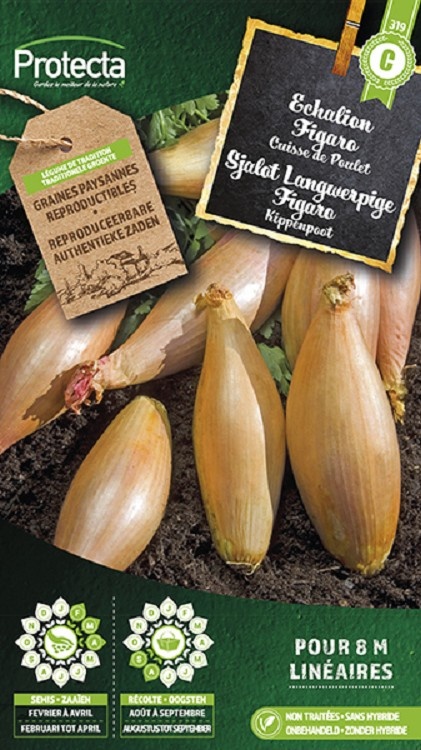Echalion FIGARO (Protecta)
