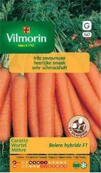 Carotte Boléro Hf1 (Vilm)