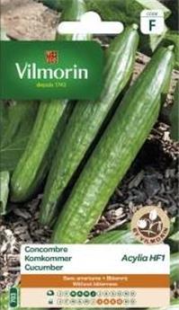 Concombre Acylia (Vilm)