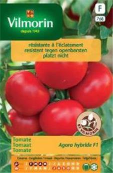 Tomate Agora Hf1  (Vilm)