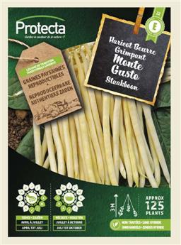 Haricot Beurre Grimpant MONTE GUSTO 125Gr ( Protecta E )