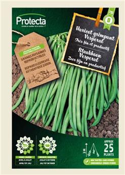 Haricot Vert Grimpant VESPERAL  ( Protecta E )