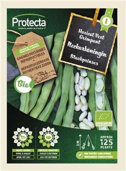 Haricot Vert Grimpant NECKARKÖNINGIN FR-BIO-15 ( Protecta E )