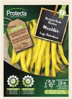 Haricot Nain Beurre MAXIDOR ( Protecta E )