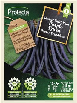 Haricot Violet Nain PURPLE QUEEN 125Gr ( Protecta E )