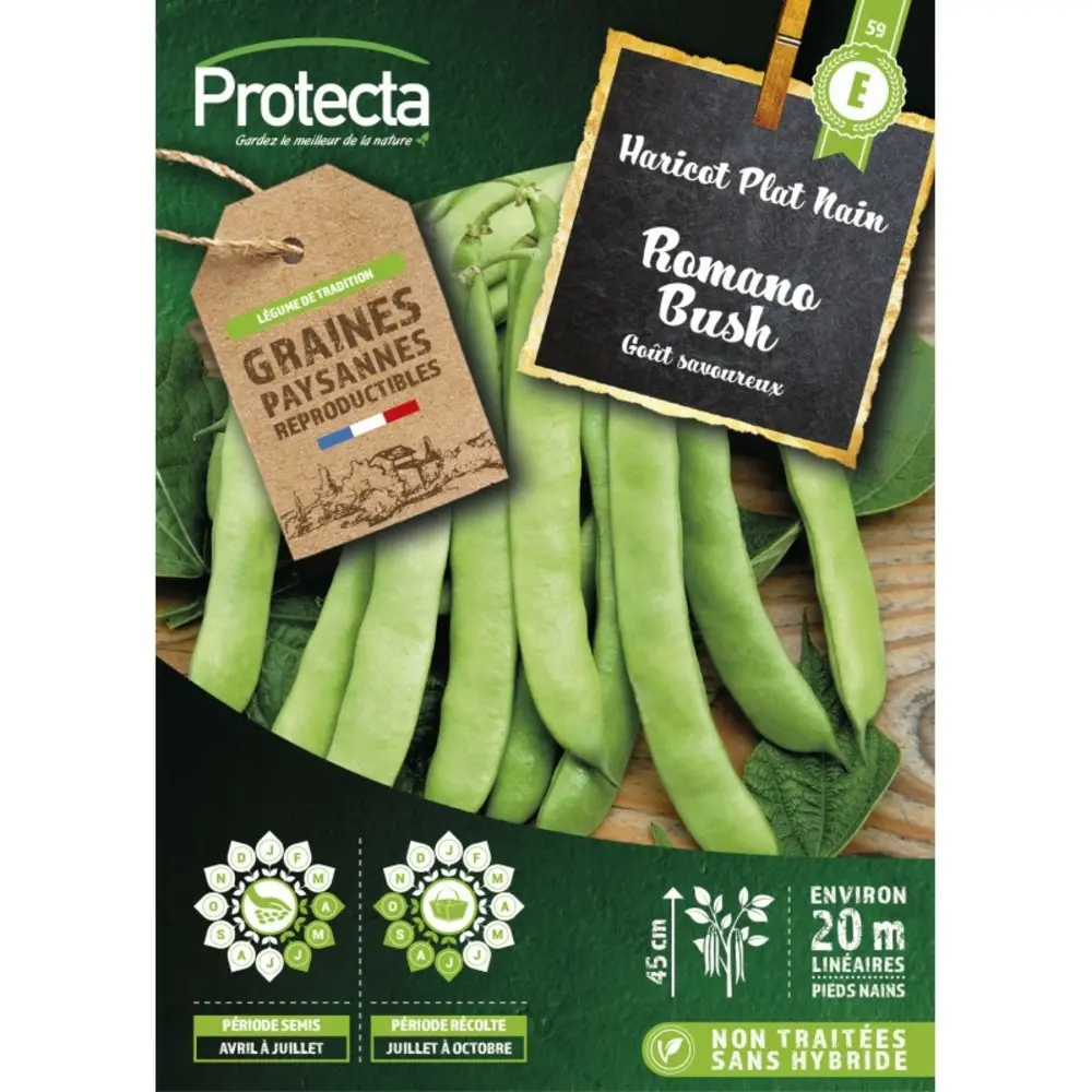 Haricot Plat Nain ROMANO BUSH 125Gr( Protecta E )