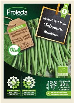 Haricot Vert Nain TALISMAN FR-BIO-15 ( Protecta E )