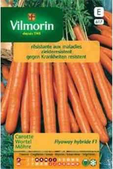 Carotte Fly Away (Vilm)