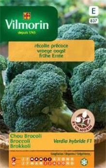 Chou Brocoli Verdia Hf1  (Vilm)