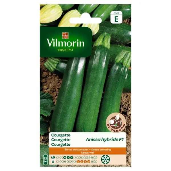 Courgette Anissa Hf1 (Vilm)
