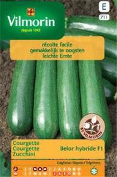 Courgette Bélor Hf1 (Vilm)