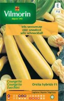 Courgette Jaune Orélia (Vilm)