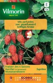 Fraisier Des 4 Saisons Suprème (Vilm)
