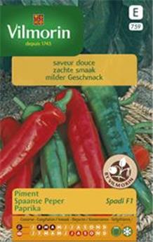 Piment Spadi Hf1  (Vilm)