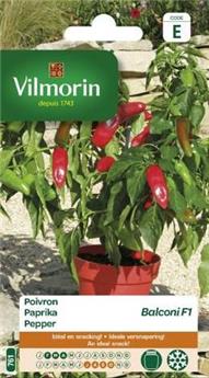 Poivron Balconi Hf1  (Vilm)