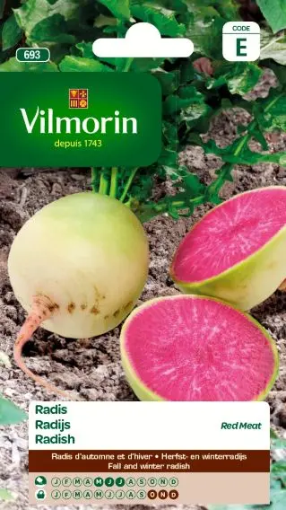 Radis Red Meat (Vilm)