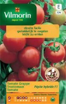 Tomate À Grappes Pépite Hf1 (Vilm)